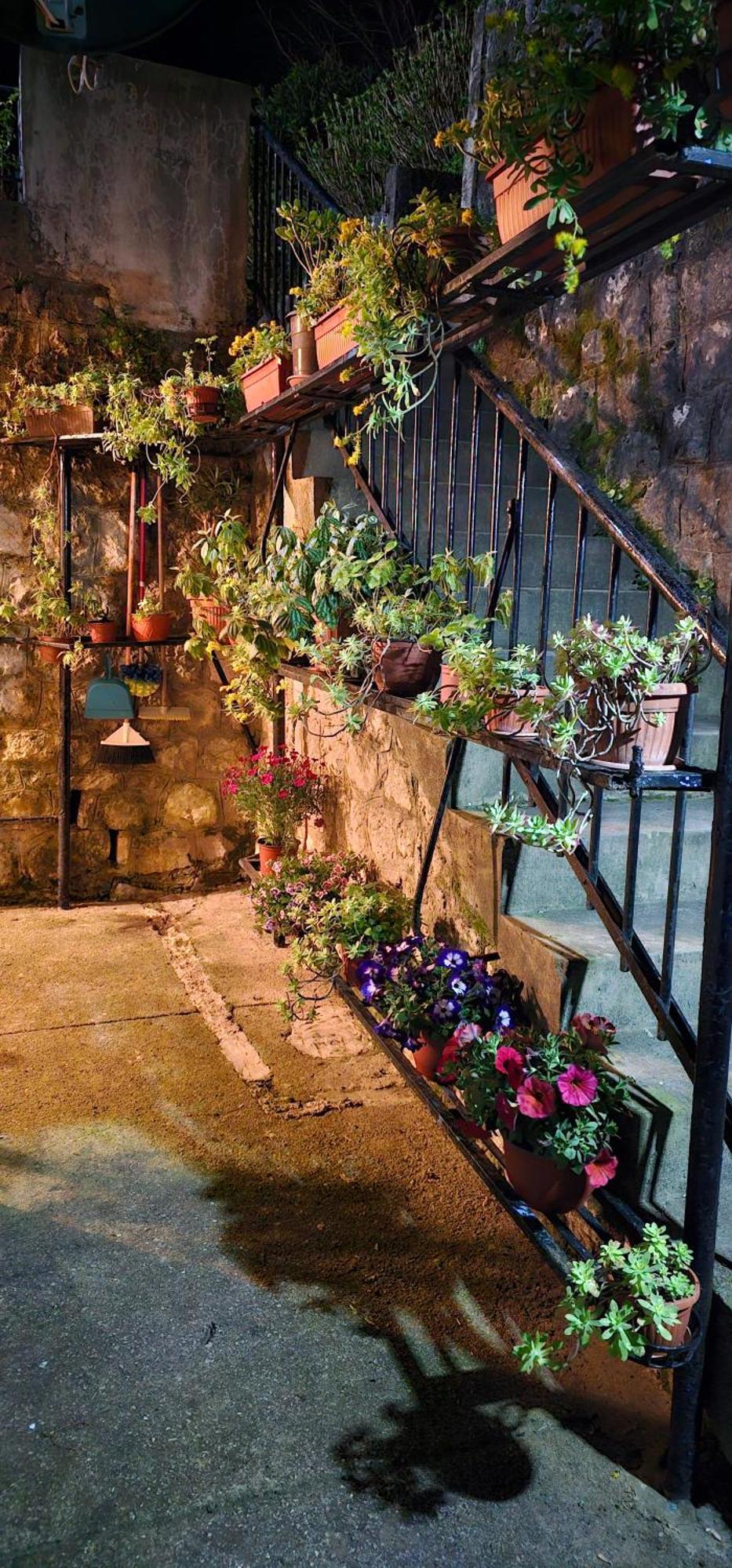 Apartman Pontica Kotor Extérieur photo
